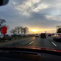 Bensonhurst Park ico