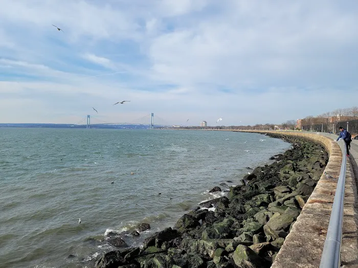 Bensonhurst Park Picture 6