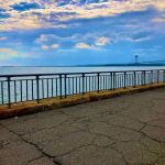 Shore Pkwy Park