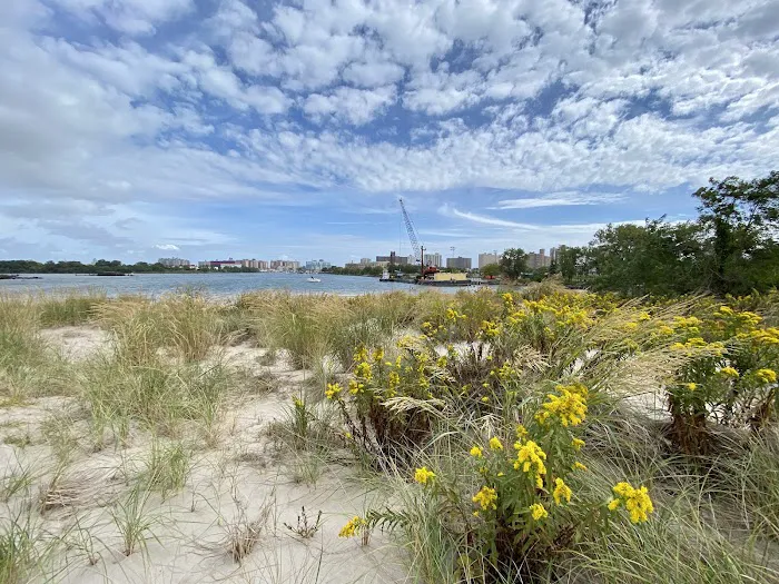 Coney Island Creek Park Shore Picture 9