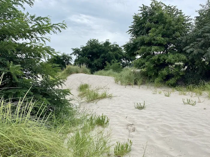 Coney Island Creek Park Shore Picture 7