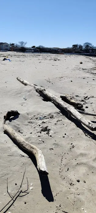 Coney Island Creek Park Shore Picture 6