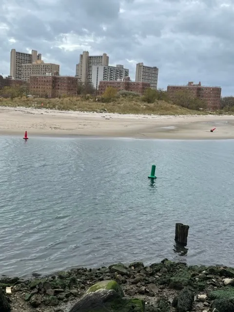 Coney Island Creek Park Shore Picture 4
