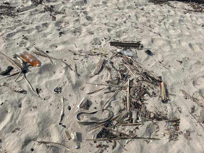 Coney Island Creek Park Picture 9