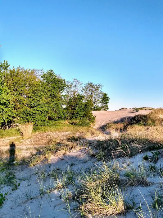 Coney Island Creek Park Picture 4