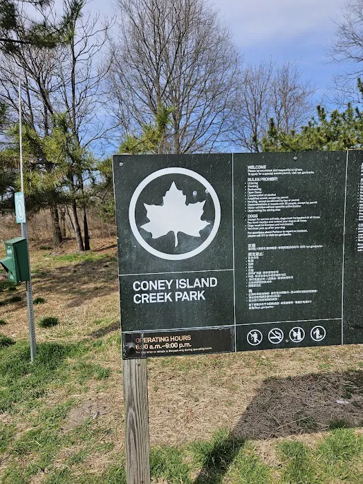 Coney Island Creek Park Picture 5