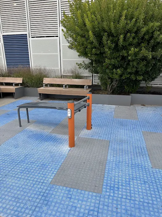 Outdoor Calisthenics Park Picture 6
