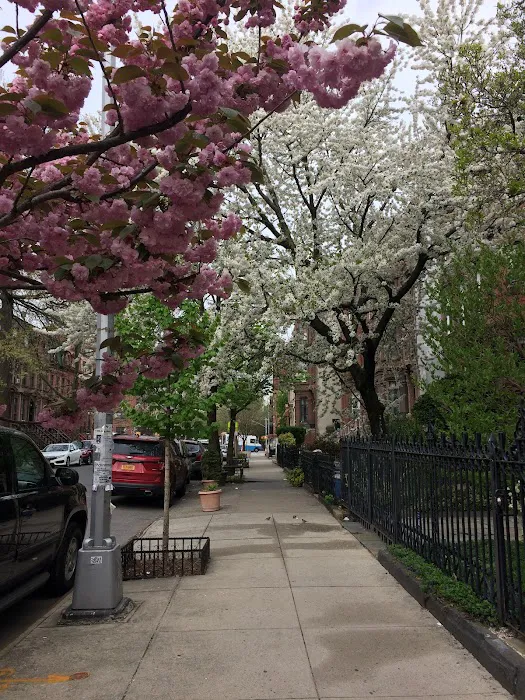 Lefferts Place Block Association Garden Picture 2