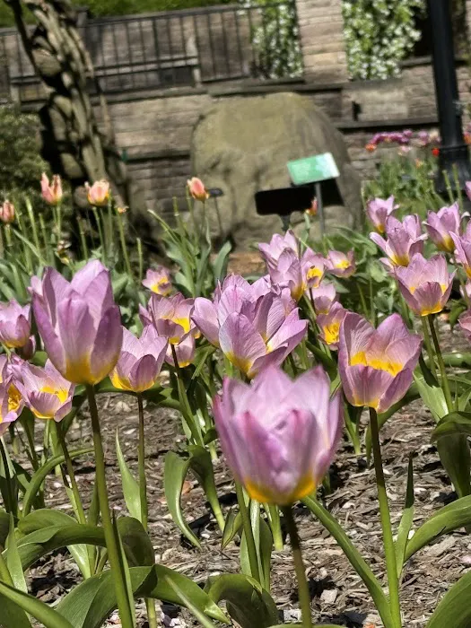 Osborne Garden Picture 3