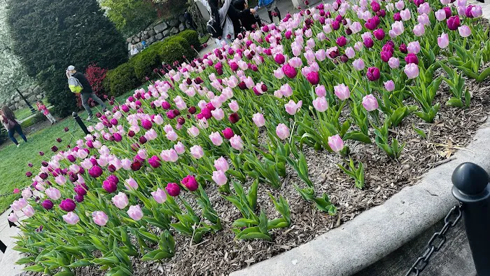 Osborne Garden Picture 6