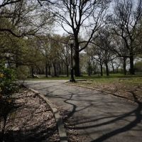 Mount Prospect Park ico