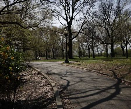 Mount Prospect Park