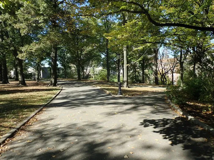 Mount Prospect Park Picture 5
