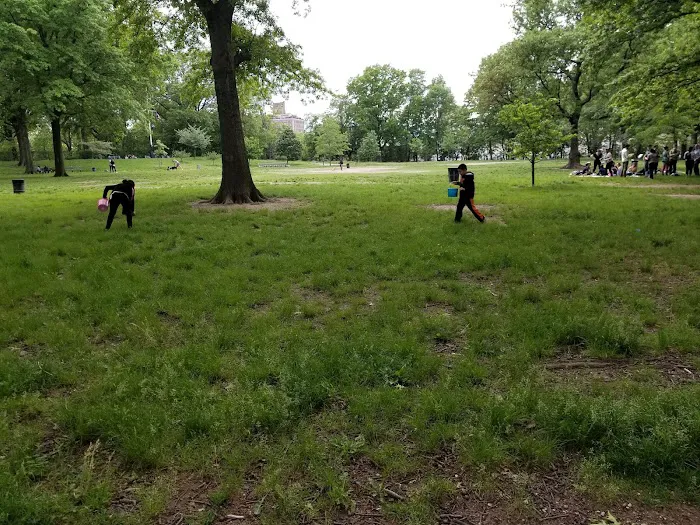 Mount Prospect Park Picture 8