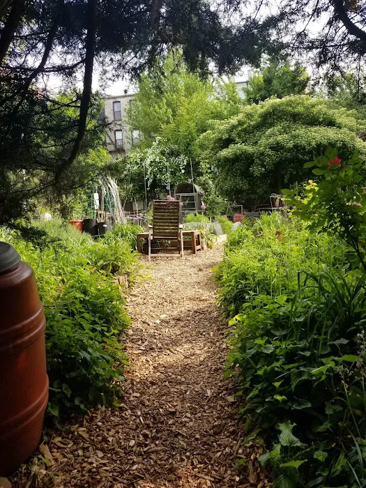 Prospect Heights Community Farm Picture 3