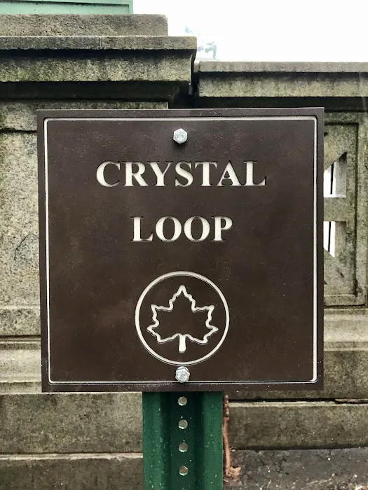 Crystal Loop Picture 3