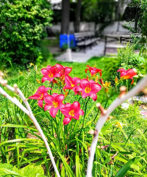 Butterfly Gardens Picture 4