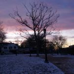 Detective Joseph Mayrose Park