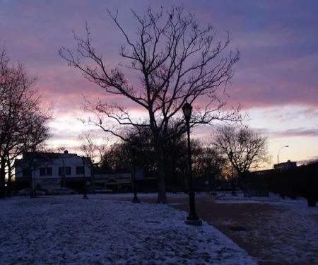Detective Joseph Mayrose Park