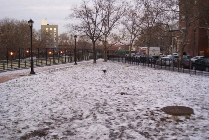 Detective Joseph Mayrose Park Picture 3