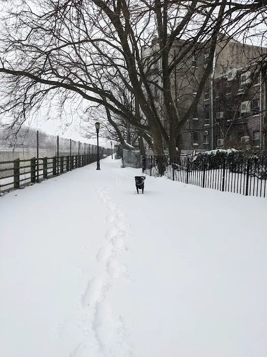 Detective Joseph Mayrose Park Picture 6