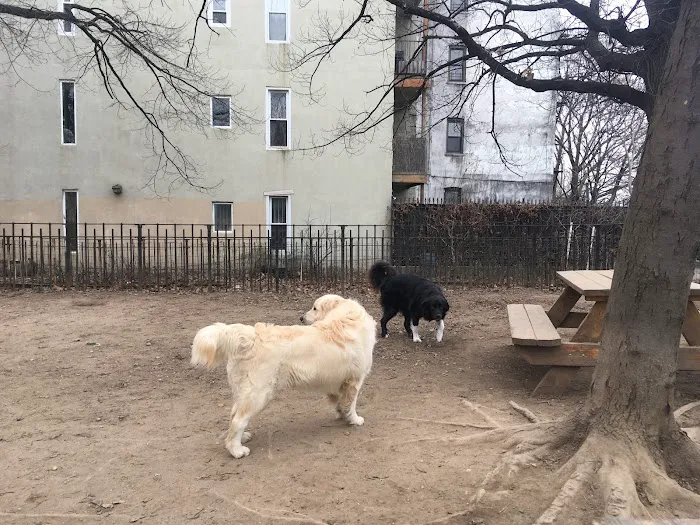 South Slope Dog Run Picture 4