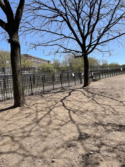 South Slope Dog Run Picture 5
