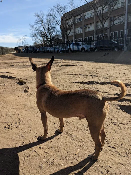 South Slope Dog Run Picture 2