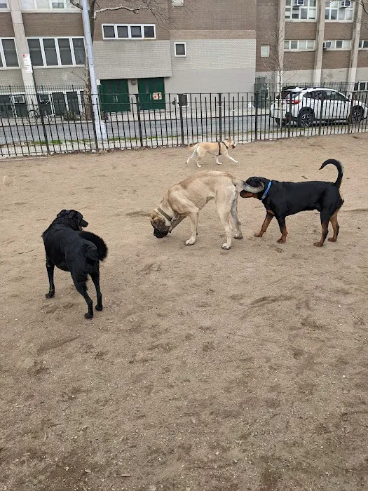 South Slope Dog Run Picture 9