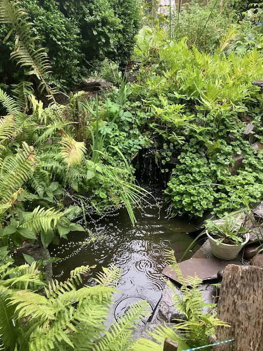 6/15 Green Picture 4