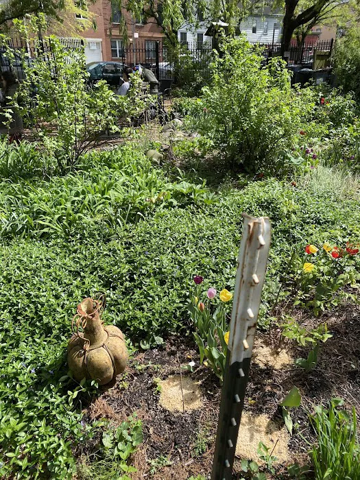 6/15 Green Picture 2