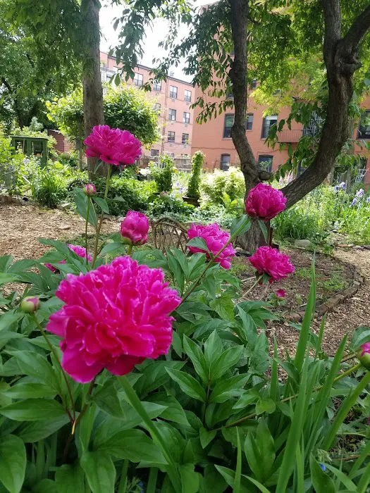 6/15 Green Picture 9