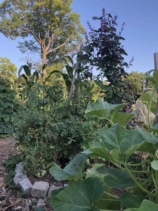 Farm Garden at J.J. Byrne Playground Picture 4
