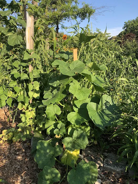 Farm Garden at J.J. Byrne Playground Picture 5
