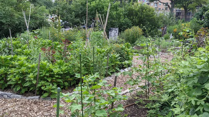 Farm Garden at J.J. Byrne Playground Picture 1