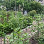Farm Garden at J.J. Byrne Playground