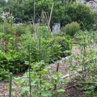 Farm Garden at J.J. Byrne Playground ico
