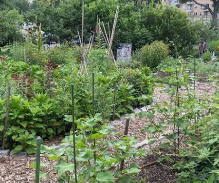 Farm Garden at J.J. Byrne Playground
