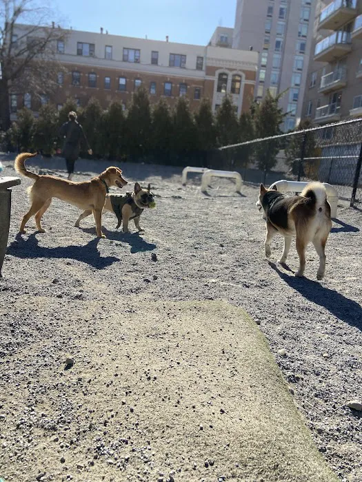 Washington Park Dog Run Picture 8