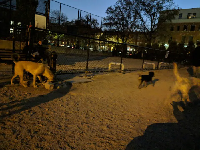 Washington Park Dog Run Picture 9