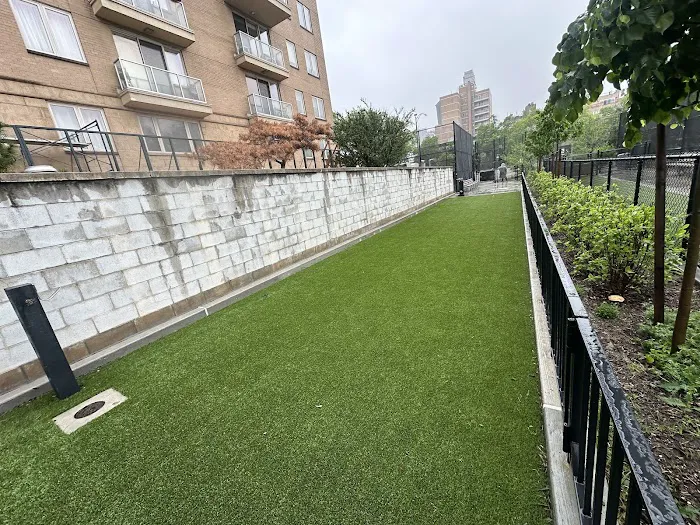 Washington Park Dog Run Picture 4