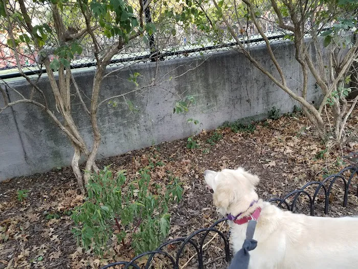 Washington Park Dog Run Picture 1