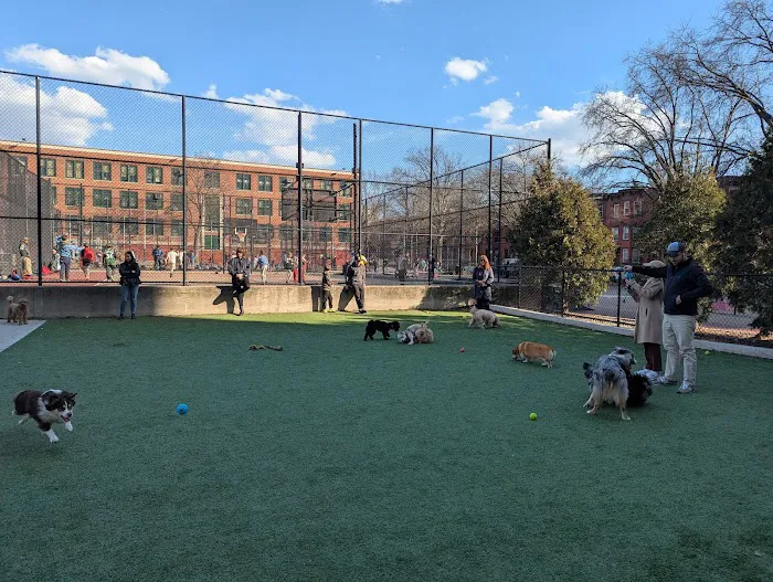 Washington Park Dog Run Picture 3