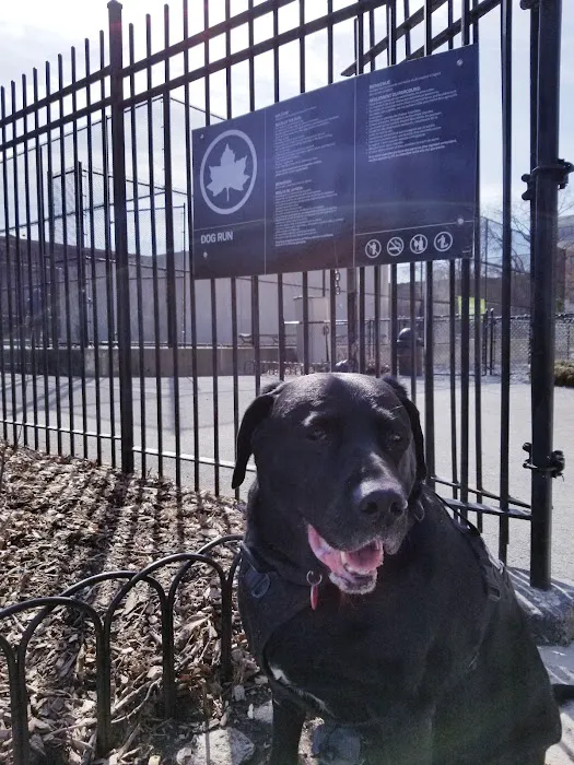 Washington Park Dog Run Picture 5