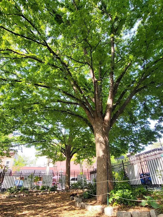 Washington Park Picture 6