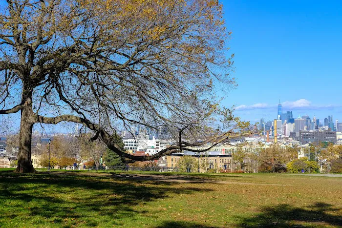 Sunset Park Picture 10