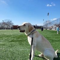 Quaker Parrot Park at the Dust Bowl ico