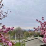 Viewpoint to Statue of Liberty at Greenwood