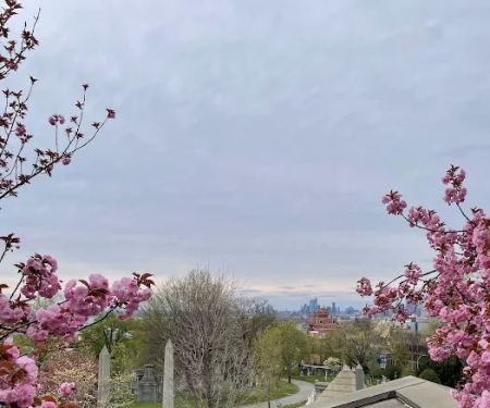 Viewpoint to Statue of Liberty at Greenwood