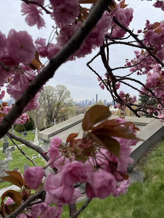 Viewpoint to Statue of Liberty at Greenwood Picture 3